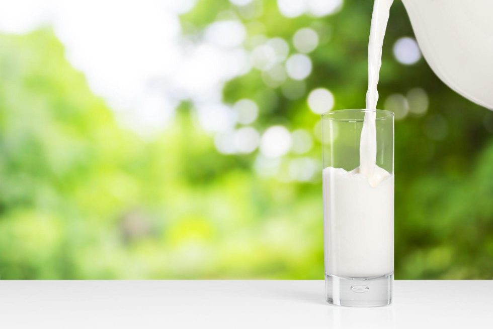 difference-between-skimmed-toned-homogenised-cow-milk-pravarsha-blog